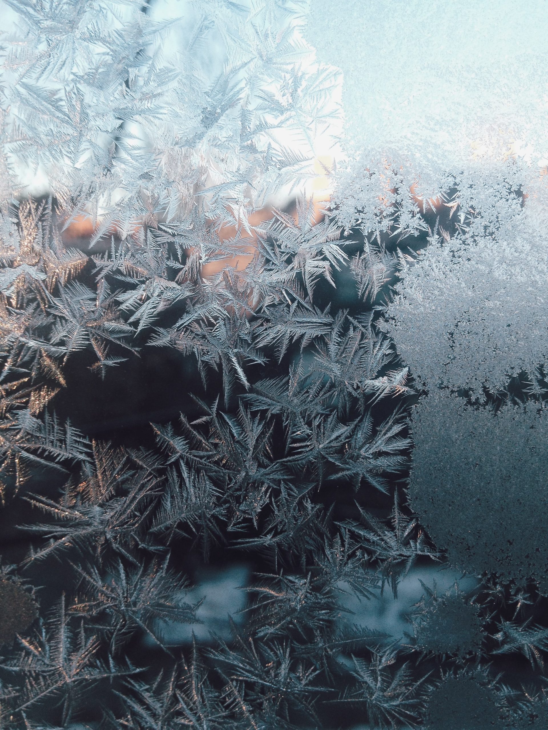 life patterns shown through closeup of ice freezing on a lake